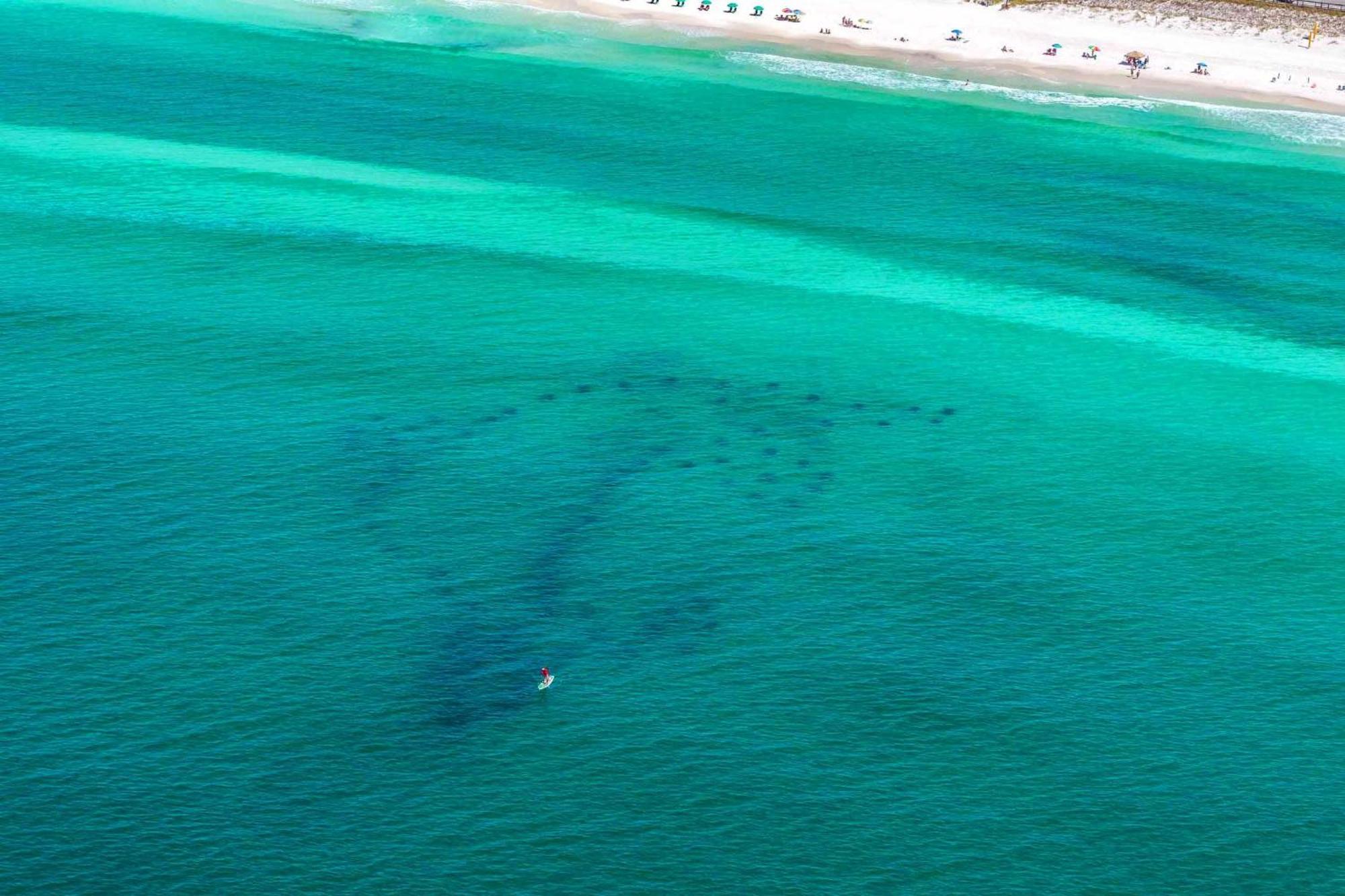 Shore Enough Destin Bagian luar foto